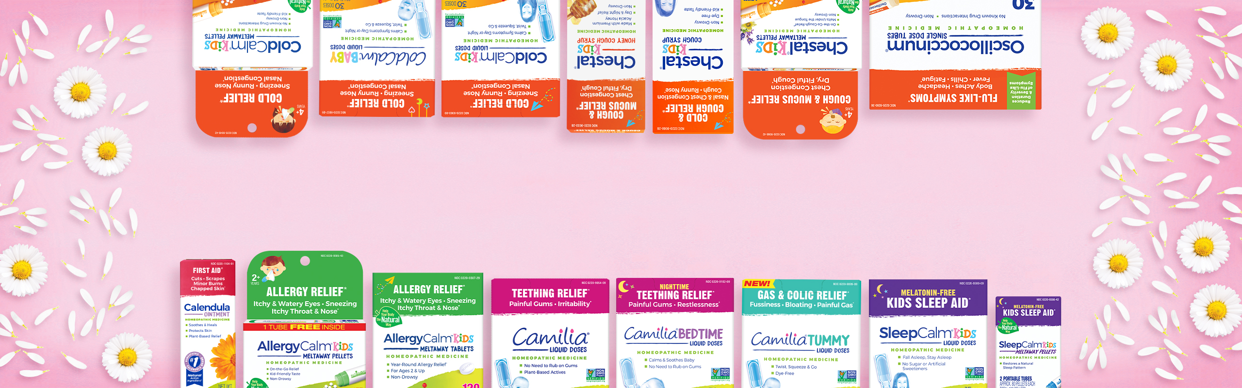 2025_Camilia_headers_family Camilia Drops